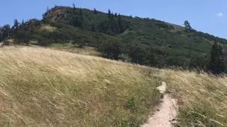 Wind at Tom McCall Point, 6-28-2017