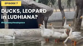 Slowness of Nature in the middle of City Buzz (Highway Headspace EP07)