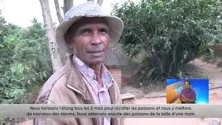 ALALINO BSF DU 07 MAI 2023 BY KOLO TV