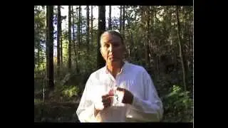 Tantra Yoga and Tantric Massage Training Courses. India, Switzerland. On-line videos. No porno.