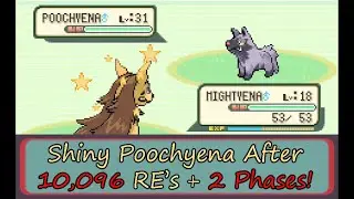 HEALPony Dream Team Quest - Shiny Poochyena After 10,096 Random Encounters + 2 Zigzagoon Phases!