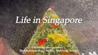 Life in Singapore | Vlogmas | Christmas Decorations, Orchard Road, Japanese Food Misato, Anime