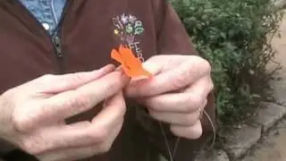 Flower Bling