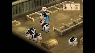 Harvest Moon Back to nature Part 203 - 5th Music Festival 