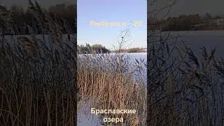🏕️❄️🐬✌️БЕЛАРУСЬ. БРАСЛАВСКИЕ ОЗЕРА. Зима 2026.Наконец то Зима?!))