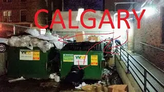 Calgary Stamped Food + Whorrify Progress
