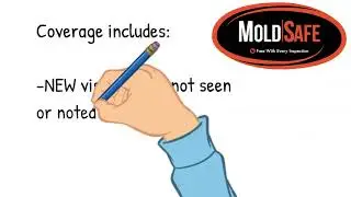 Mold Safe - 90 day Warranty