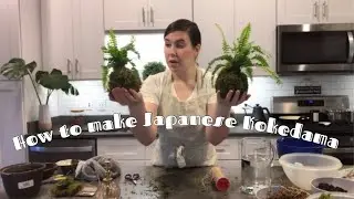 How To Make A Traditional Kokedame - Japanese Kokedama Care