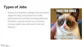 3 01 Employment in the Small Animal Industry