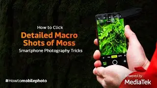 How to Click Detailed Macro Shots of Moss | Smartphone Photography Tricks