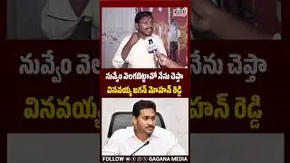 Ap Youth fire on Jagan🔥|Ap Politics |Ap Public Talk |Cm Chandrababu| Jagan trolls| @GaganaMedia