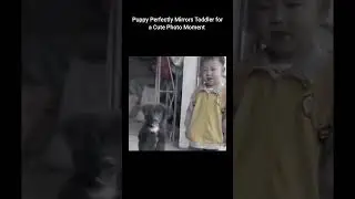 Faith in Humanity Restored | Real Acts of Kindness and Human Goodness
