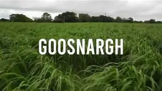 Render #1 | Goosnargh Village | West Side | 01-07-2020 | Mavic Mini