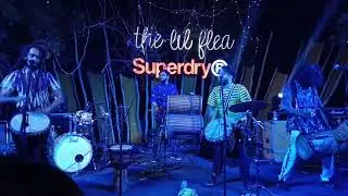 The Lil Flea - Delhi Edition 2 MUSIC CONCERT (BOOMBAY DJEMBE FOLAS )
