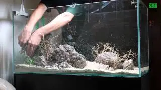 亞馬遜水族造景教學- 2