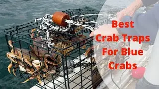 Top 5 Best Crab Traps For Blue Crabs 🔥