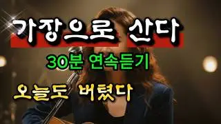 🎵가장으로 산다(30분 연속 듣기) ㅣ트로트 ㅣ심수봉감성