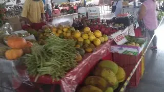 CHÁCARA//  CONHEÇAM A FEIRA DO AGRICULTOR EM SÃO PEDRO