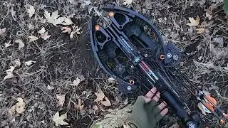 Archery Elk 2025 Limited Entry &ldquo;Shots Fired&rdquo;