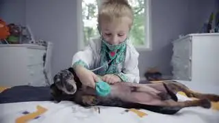 What is Animal Rehab?