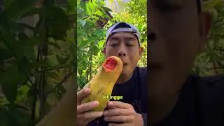 CARA DIET YANG BAIK SAAT KONSUMSI BUAH PEPAYA #shorts  #kesahatan #buah #viral