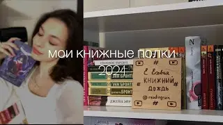 MY BOOKSHELVES | мои книжные полки 2024