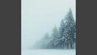 Out of Sight Out of Body Out of Mind