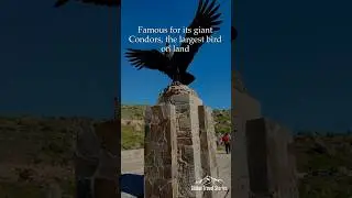 Discovering Arequipa & the Colca Canyon in Peru