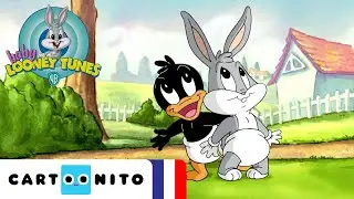 Vive L'Ecole! | Baby Looney Tunes | @CartoonitoFrance ​