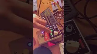 Ammon Pockloop  looper is impressive