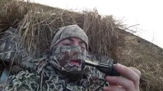 Охота в Приморье день второй. Организатор - компания Эвентус.