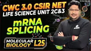 𝐦𝐑𝐍𝐀 𝐒𝐩𝐥𝐢𝐜𝐢𝐧𝐠 𝐌𝐞𝐜𝐡𝐚𝐧𝐢𝐬𝐦 | 𝐂𝐒𝐈𝐑 𝐍𝐄𝐓 𝐋𝐢𝐟𝐞 𝐒𝐜𝐢𝐞𝐧𝐜𝐞 𝐔𝐧𝐢𝐭 𝟐𝐂&𝟑 | 𝐌𝐨𝐥𝐞𝐜𝐮𝐥𝐚𝐫 𝐁𝐢𝐨𝐥𝐨𝐠𝐲 𝐋𝟐𝟓 | 𝐂𝐖𝐂 𝟑.𝟎