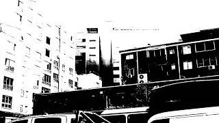 Transeuntes s: hormigas
