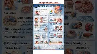 Types of Brain Injury | TBI vs ABI | GCS | Nursing & DMLT