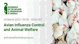 Avian Influenza Control and Animal Welfare