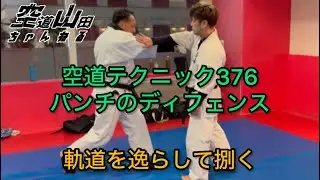 【武道】空道テクニック376「パンチのディフェンス」【格闘技】