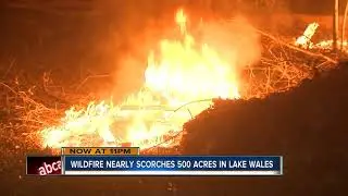 Brush fire in Polk County