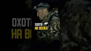 Мситм волкам за съеденного лося в новом видео на канале. Смотрите!
