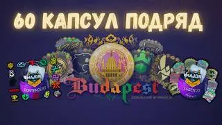 Открыл 60 капсул Budapest Major 2025 в CS2 &mdash; Возможен ли профит?