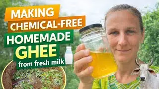 Homemade ghee |  clarified butter from scratch 