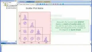 Systat Correlations