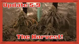 Update 5.9 | Frostback - The Harvest!