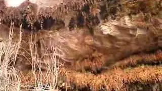 Fern Cave