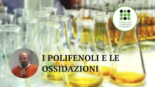 Il ruolo dei polifenoli nell'ossidazione dei vini bianchi