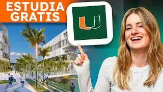BECA COMPLETA PARA ESTUDIAR EN LA UNIVERSIDAD DE MIAMI🌴 🇺🇸