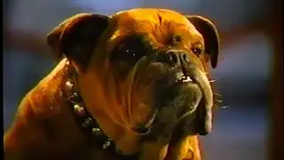 TOMMY LEE JONES ~ RED DOG BEER ad, 1994