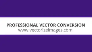 vector conversion