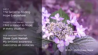 Manifesting Hope Day 7