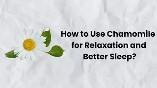How to Use Chamomile for Relaxation and Better Sleep | Natural Remedy for Stress & Insomnia