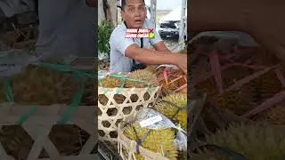 pesta durian kita.. #viral #wisatapacet #durianmurah #duriantraveler #trawas